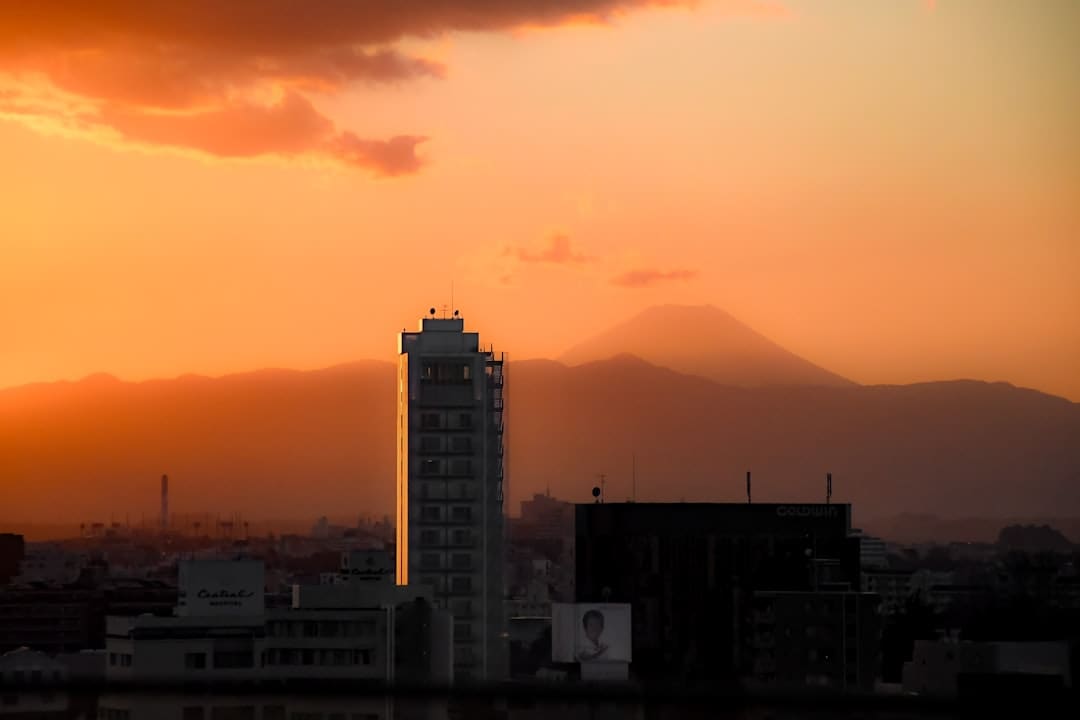 杨紫李现《秀丽芳华》定档6月30日,牡丹重耀续写盛唐篇章